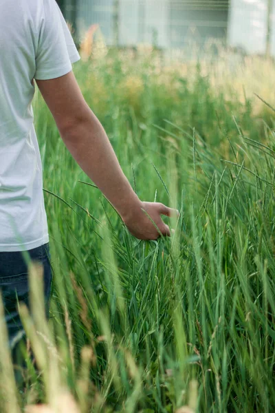 young guy stands in the tall grass