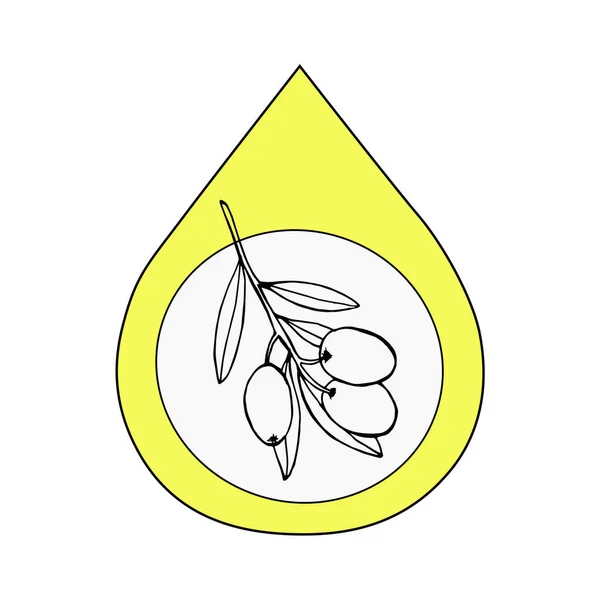 Una gota de aceite con el logotipo de olive branch.vector para cosméticos o alimentos ecológicos . — Archivo Imágenes Vectoriales