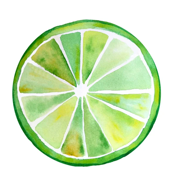 Fatia de limão verde e amarela fresca isolada. Watercolor ilustração estilizada . — Fotografia de Stock