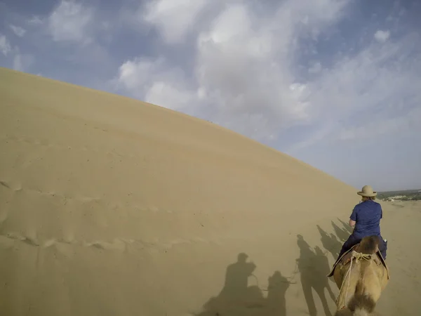 Woman riding camel in caravan through dunes of Taklamakan Desert in Dunhuang, China.