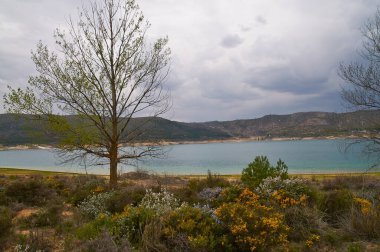 Gün batımında romantik manzara ağaç, su ve bitki örtüsü dağlarını birleştirir..