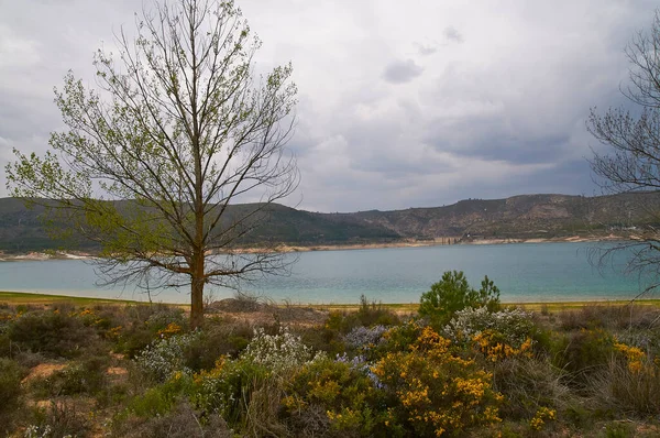 Gün batımında romantik manzara ağaç, su ve bitki örtüsü dağlarını birleştirir..