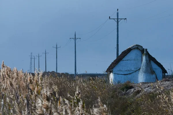 Ebro Delta 'daki tarlaların kısmi görüntüsü, telgraf direklerinin evi ve hattı.