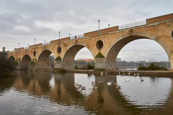 Pont Sur Fleuve Guadiana Qui Traverse Ville Badajoz Espagne Gauche — Photo