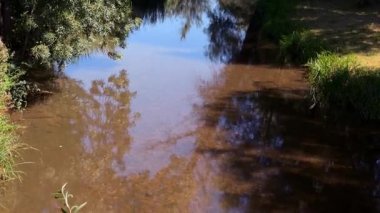 Serene Ucero Nehri, El Burgo de Osma yakınlarındaki sakin İspanya kırsalında verimli ağaçlar ve geniş gökyüzü ile çevresini nazikçe yansıtıyor.