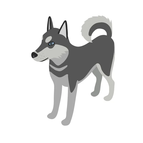 Kolorowe Wektor Kreskówki Ilustracja Cute Husky Pies Czarno Białym Płaszczem — Wektor stockowy