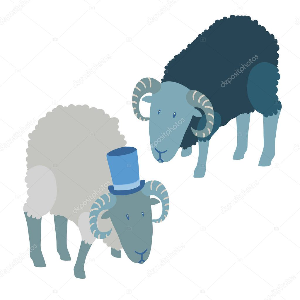 Colorful vector illustration of couple of black ram, and black, wearing blue top hat, with curly fur, dark skin stooping, isolated on white background