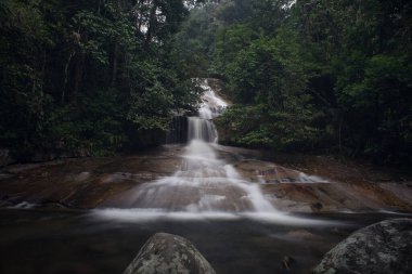 Güzel yağmur ormanı şelalesi yavaş kapatma modunda.
