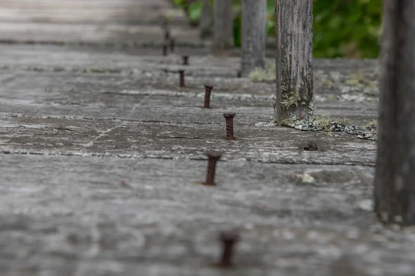 Bir kelebek seyahat ederken kameraya oturdu.