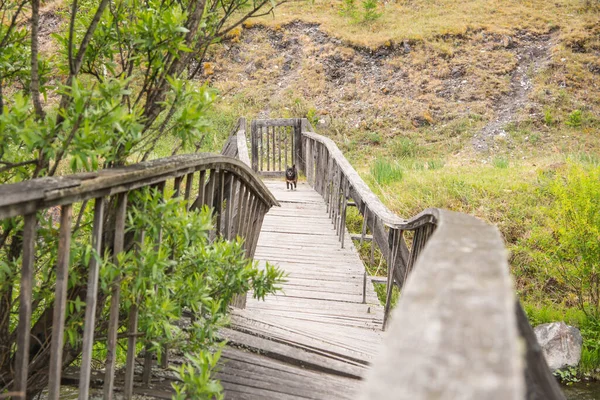 Uzak bir bölgedeki eski yaya köprüsü.