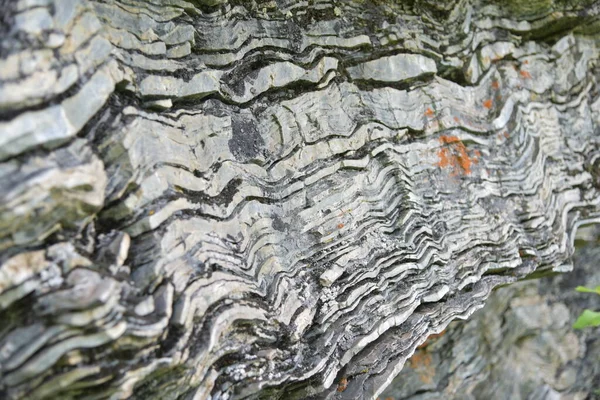 Arkaplan için doğal taş dokusu