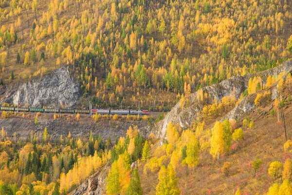 Sonbaharda Sibirya dağlarında bir yük treni demiryolu ile hareket eder..