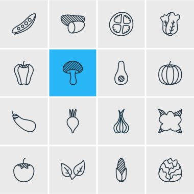 16 gıda simgeler çizgi stili vektör Illustration. Bulgar bell, kabak, Mısır ve diğer simge öğeleri düzenlenebilir kümesi.