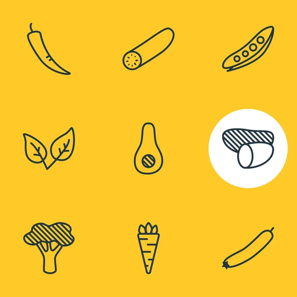 Illustrazione di 9 icone di verdure stile linea. Set modificabile di broccoli, avocado, menta verde e altri elementi icona . — Foto Stock