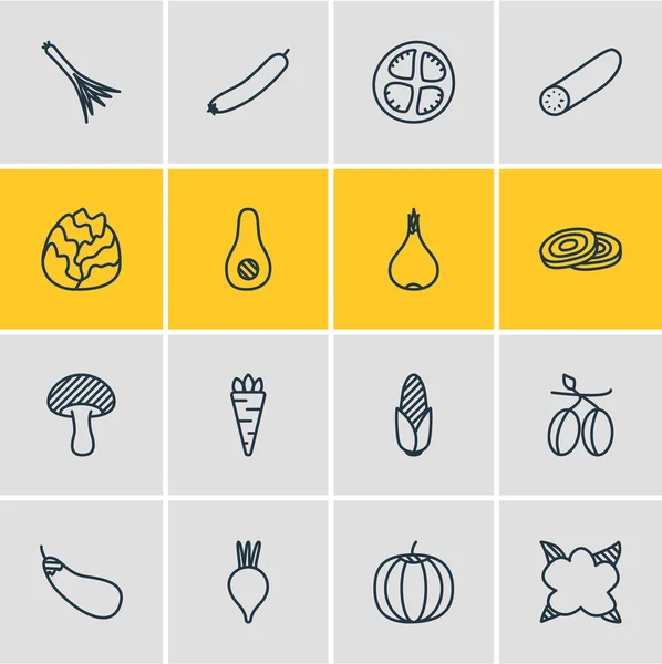 Ilustración de 16 iconos de verduras estilo de línea. Conjunto editable de calabaza, maíz, zanahoria y otros elementos del icono . — Foto de Stock