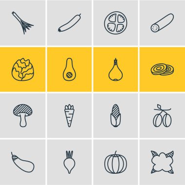 16 gıda simgeler çizgi stili vektör Illustration. Kabak, Mısır, havuç ve diğer simge öğeleri düzenlenebilir kümesi.