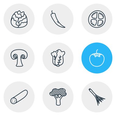 9 sebze simgeler çizgi stili vektör Illustration. Mantar, brokoli, lahana ve diğer simge öğeleri düzenlenebilir kümesi.