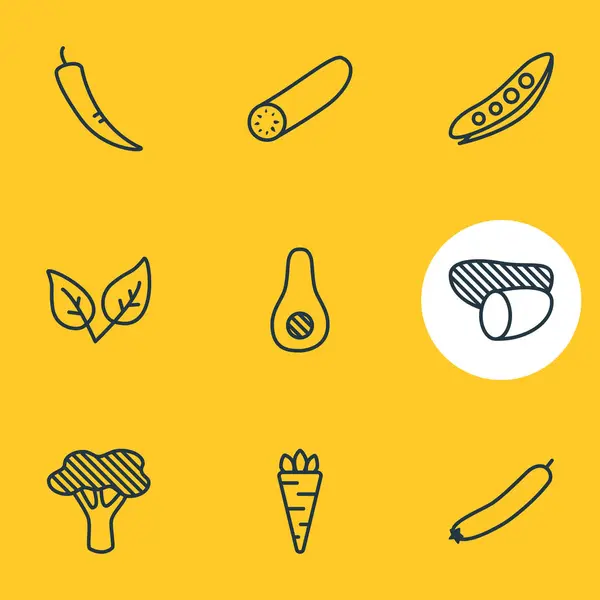 Ilustración vectorial de 9 iconos de comida estilo línea. Conjunto editable de brócoli, aguacate, hierbabuena y otros elementos del icono . — Vector de stock