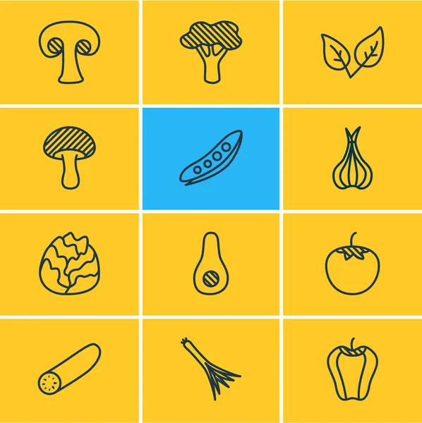 Ilustración vectorial de 12 iconos de comida estilo línea. Conjunto editable de campana bulgara, hierbabuena, aguacate y otros elementos del icono . — Vector de stock