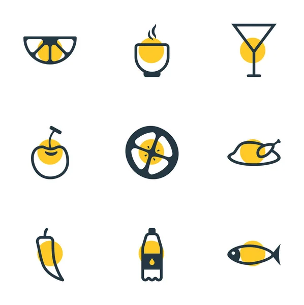 Vektorillustration av 9 äta ikoner linjeformat. Redigerbara uppsättning soppa, kyckling, fisk och andra ikonen element. — Stock vektor
