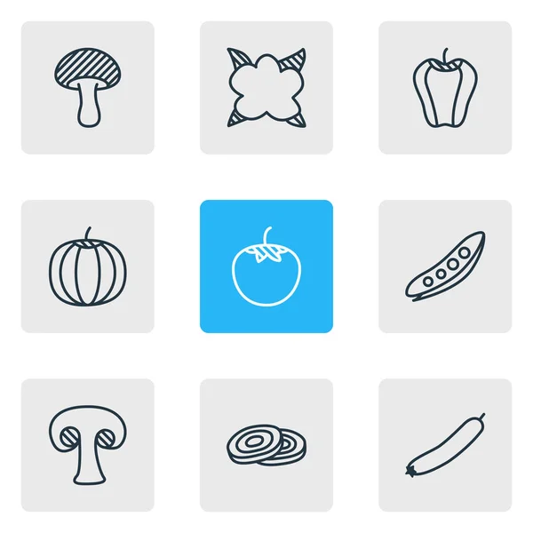 Vektorové ilustrace styl čáry ikony 9 potravin. Upravitelné sada plátky cibule, Bulharská bell, dýně a dalších ikon prvků. — Stockový vektor