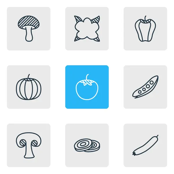 Ilustración de 9 iconos de verduras estilo de línea. Conjunto editable de cebolla en rodajas, campana bulgara, calabaza y otros elementos del icono . —  Fotos de Stock