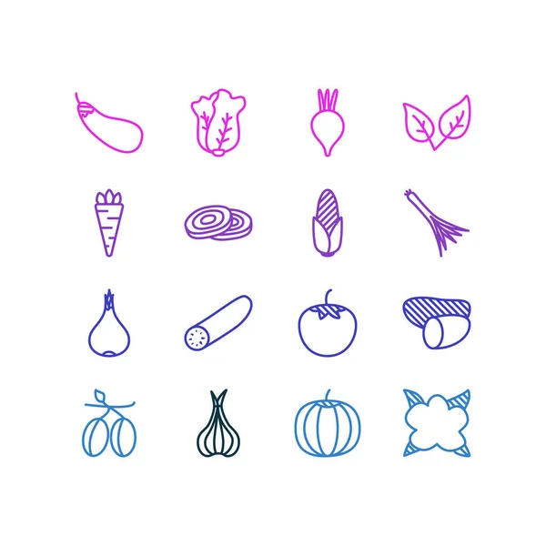 Illustration of 16 food icons line style. Editable set of tomato, allium, pumpkin and other icon elements. — Stock Photo, Image