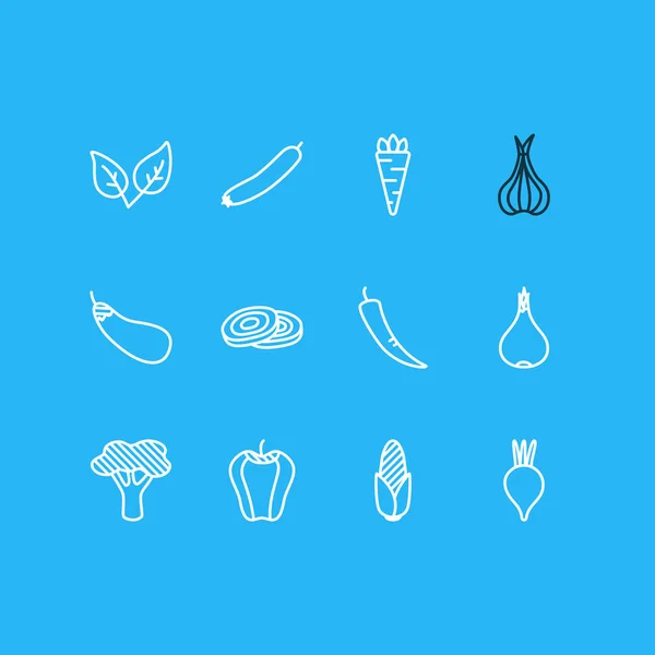 Ilustración vectorial de 12 iconos vegetales estilo línea. Conjunto editable de zanahoria, berenjena, brócoli y otros elementos del icono . — Vector de stock