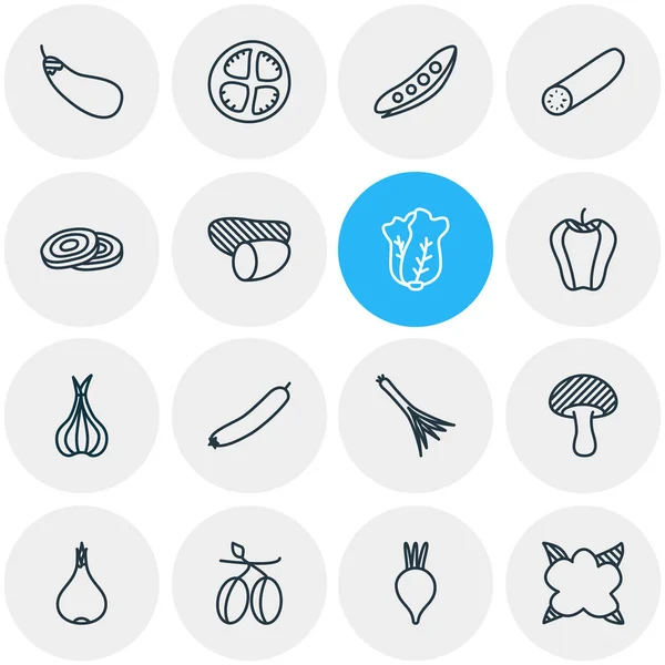 Ілюстрація 16 харчових іконок стилю лінії. Елегантний набір оливок, цибулі, гороху та інших елементів значка . — стокове фото