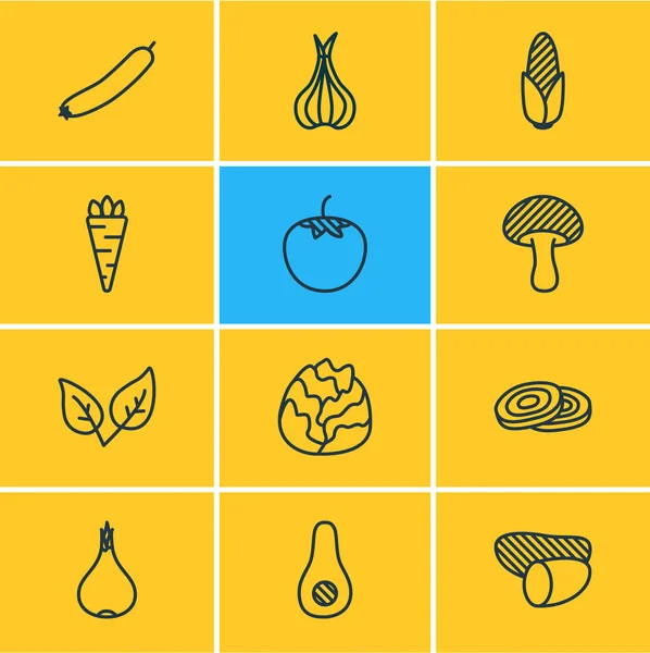 Ilustración vectorial de 12 iconos vegetales estilo línea. Conjunto editable de tomate, cebolla, aguacate y otros elementos del icono . — Archivo Imágenes Vectoriales