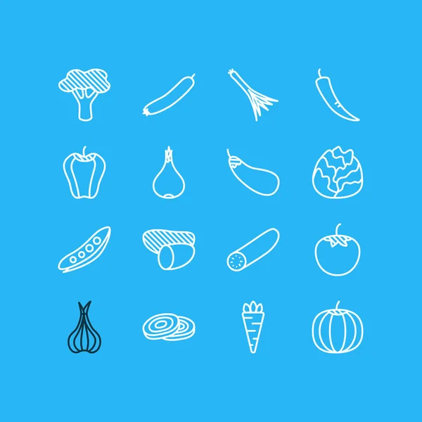 Ilustración de 16 iconos de comida estilo de línea. Conjunto editable de calabacín, calabaza, cebolla en rodajas y otros elementos del icono . —  Fotos de Stock