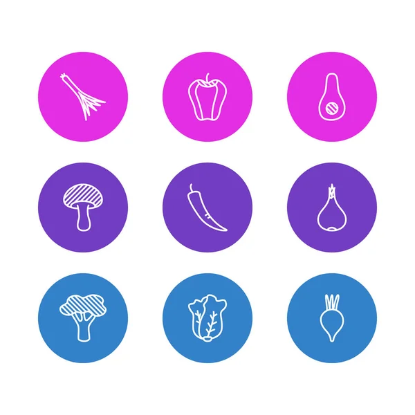 Ilustración de 9 iconos de comida estilo de línea. Conjunto editable de brócoli, ensalada, cebolla y otros elementos del icono . —  Fotos de Stock