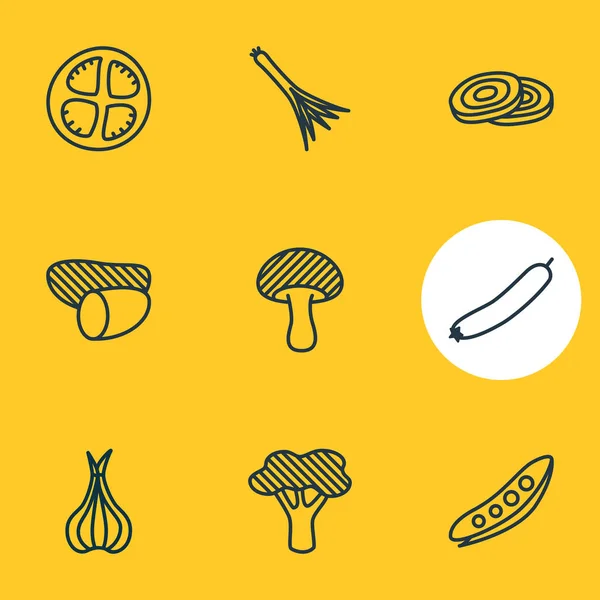 Illustratie van 9 voedsel pictogrammen lijnstijl. Plantaardige, allium, lente-ui en andere elementen van het pictogram bewerkbaar set. — Stockfoto