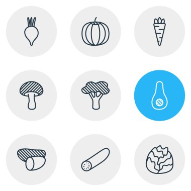 9 sebze simgeler çizgi stili Illustration. Lahana, turp, brokoli ve diğer simge öğeleri düzenlenebilir kümesi.