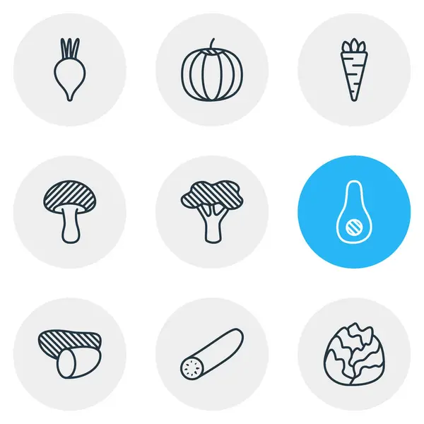 Ilustración vectorial de 9 iconos de comida estilo línea. Conjunto editable de col, rábano, brócoli y otros elementos del icono . — Archivo Imágenes Vectoriales