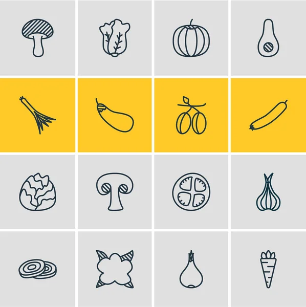 Ilustración vectorial de 16 iconos vegetales estilo línea. Conjunto editable de cebolla, alium, aceitunas y otros elementos del icono . — Vector de stock