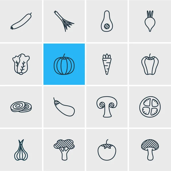 Ilustración vectorial de 16 iconos vegetales estilo línea. Conjunto editable de aguacate, calabaza, alium y otros elementos del icono . — Vector de stock