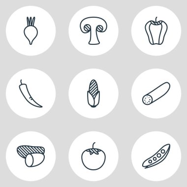 9 Gıda simgeler çizgi stili Illustration. Patates, Mısır, biber ve diğer simge öğeleri düzenlenebilir kümesi.