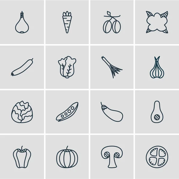 Ilustración vectorial de 16 iconos de comida estilo línea. Conjunto editable de col, alium, guisantes y otros elementos del icono . — Vector de stock