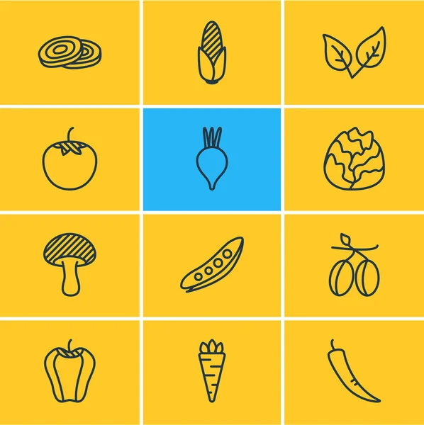 Ilustracja 12 warzywa ikony stylu linii. Można edytować zestaw chili, grzybów, oliwki i inne elementy ikony. — Zdjęcie stockowe