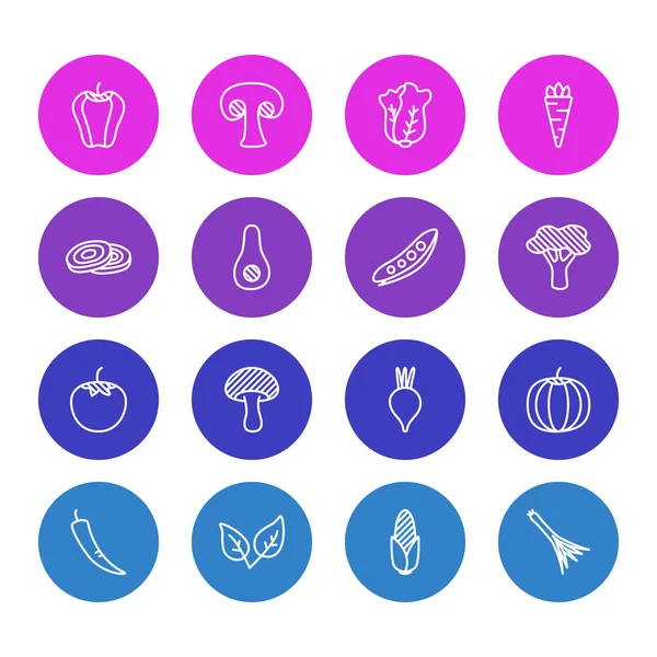 Illustrazione di 16 icone di verdure stile linea. Set modificabile di insalata, pomodoro, avocado e altri elementi icona . — Foto Stock