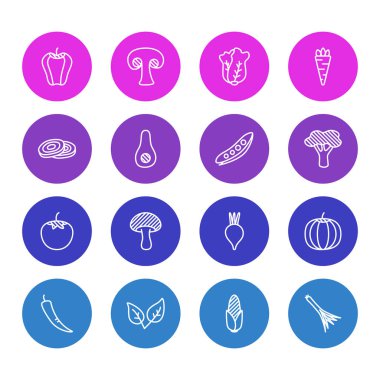 16 gıda simgeler çizgi stili vektör Illustration. Salata, domates, avokado ve diğer simge öğeleri düzenlenebilir kümesi.