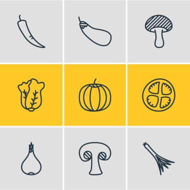 9 gıda simgeler çizgi stili vektör Illustration. Mantar, kabak, sebze ve diğer simge öğeleri düzenlenebilir kümesi.