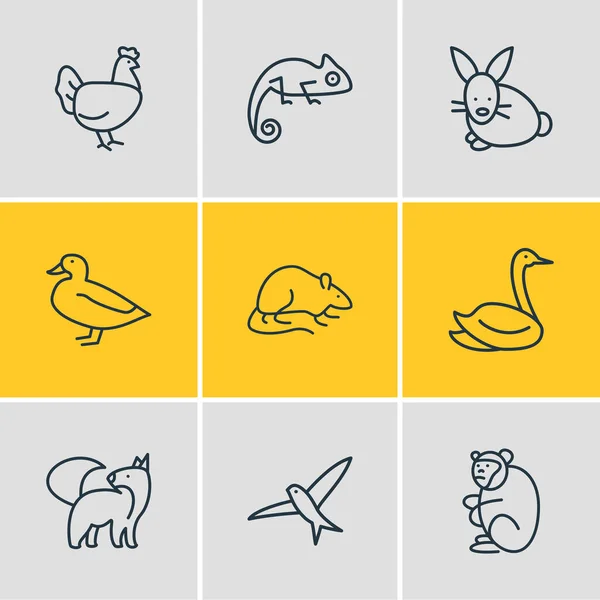 Ilustración vectorial de 9 iconos del zoológico estilo de línea. Conjunto editable de camaleón, pato, rápido y otros elementos del icono . — Vector de stock