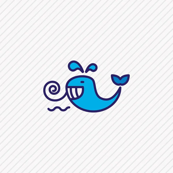 Ilustración vectorial de la línea de color icono de cetáceos. Hermoso elemento naval también se puede utilizar como elemento icono ballena baleen . — Vector de stock