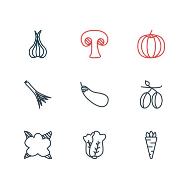 9 sebze simgesinin vektör çizimi. Düzenlenebilir soğan, zeytin, patlıcan ve diğer simge elementleri..