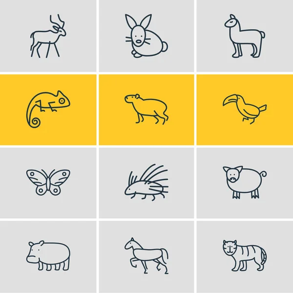 Ilustración de 12 animales iconos estilo de línea. Conjunto editable de camaleón, tucán, cerdo y otros elementos del icono. — Foto de Stock