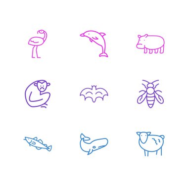 9 hayvan simgesi çizgi tarzının vektör çizimi. Düzenlenebilir yunus, arı, morina ve diğer simge elementleri kümesi.