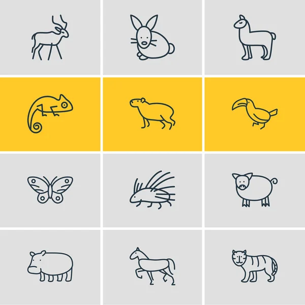12个动物园图标的矢量插图线条风格.可编辑的变色龙、触角、猪和其他图标元素集. — 图库矢量图片