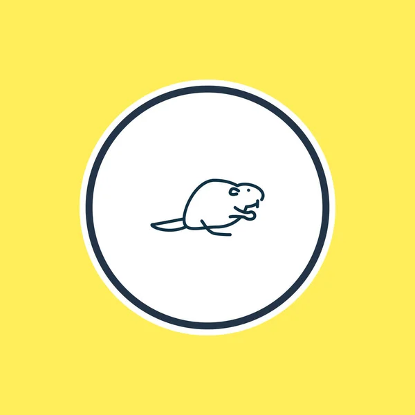 Ilustración vectorial de la línea del icono del castor. Hermoso elemento del zoológico también se puede utilizar como elemento icono de rata almizclera. — Archivo Imágenes Vectoriales